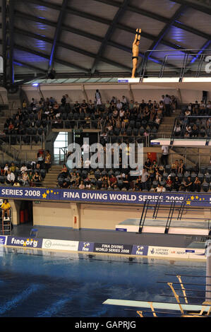 Plongée - Fina Diving World Series 2008 - deuxième jour - Ponds Forge.Tom Daley, plongeur en Grande-Bretagne, participe à l'événement individuel lors de la série mondiale de plongée de la FINA à Ponds Forge, Sheffield. Banque D'Images