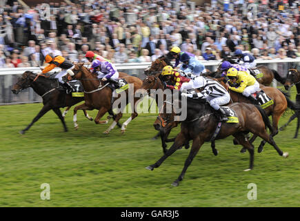 Courses hippiques - 2008 mai Festival - totesport Dante Day - York Racecourse.Les tournois et le jockey Silvestre de Sousa (numéro 3) remportent les piquets totétofollow à l'hippodrome de York, York. Banque D'Images