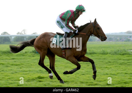 Les courses de chevaux - Hippodrome de Towcester Banque D'Images