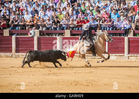 Ubeda, Espagne - 2 octobre, 2010 : Fermin Bohorquez, torero à cheval espagnol, Ubeda, Jaen, Espagne Banque D'Images