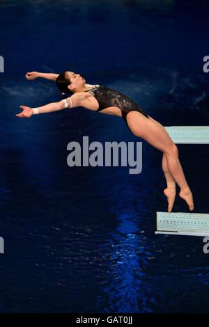 Plongée - Plongée Fina World Series 2008 - Jour deux - Ponds Forge Banque D'Images