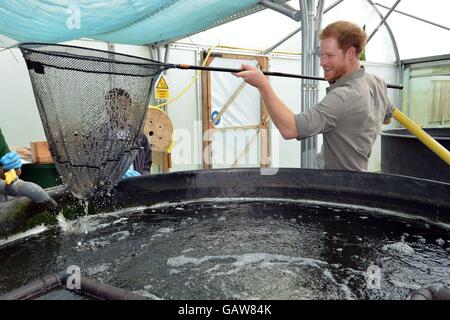 Le prince Harry en visite au Nord Ouest, un lieu de pêche à la ligne à Wigan qui aide à améliorer l'employabilité et les possibilités d'éducation des jeunes défavorisés, alors qu'il continue à promouvoir le sport comme moyen de développement social. Banque D'Images