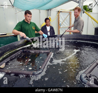 Le prince Harry en visite au Nord Ouest, un lieu de pêche à la ligne à Wigan qui aide à améliorer l'employabilité et les possibilités d'éducation des jeunes défavorisés, alors qu'il continue à promouvoir le sport comme moyen de développement social. Banque D'Images