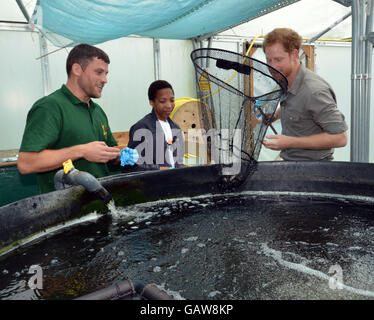 Le prince Harry en visite au Nord Ouest, un lieu de pêche à la ligne à Wigan qui aide à améliorer l'employabilité et les possibilités d'éducation des jeunes défavorisés, alors qu'il continue à promouvoir le sport comme moyen de développement social. Banque D'Images