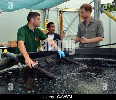 Le prince Harry en visite au Nord Ouest, un lieu de pêche à la ligne à Wigan qui aide à améliorer l'employabilité et les possibilités d'éducation des jeunes défavorisés, alors qu'il continue à promouvoir le sport comme moyen de développement social. Banque D'Images