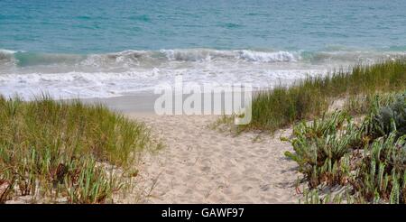 Chemin à travers la végétation des dunes de sable de l'océan Indien dans les eaux turquoise, Guilderton l'ouest de l'Australie. Banque D'Images