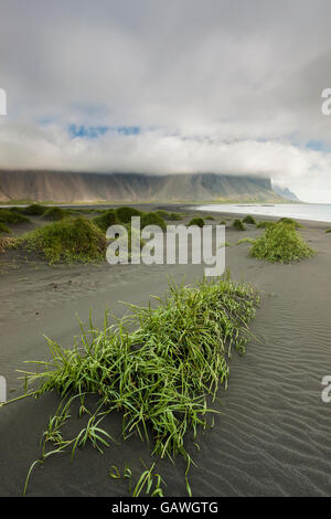 Matin d'été à Stokksnes pointe, de l'Islande. Banque D'Images