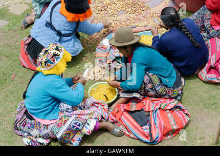 Les femmes autochtones des pommes de terre pour une cérémonie de mariage local, n° 11, n° 4, la plus haute altitude dans la communauté La Parque de la Papa, Cordillère des Andes, au Pérou Banque D'Images