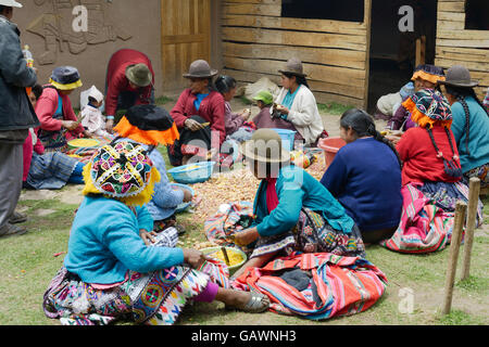 Les femmes autochtones des pommes de terre pour une cérémonie de mariage local, n° 11, n° 4, la plus haute altitude dans la communauté La Parque de la Papa, Cordillère des Andes, au Pérou Banque D'Images