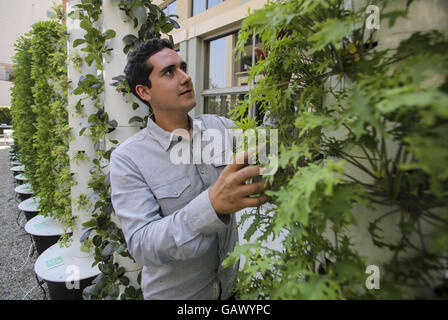 Los Angeles, Californie, USA. 1er juin 2016. Niels Thorlaksson de la fermes urbaines. © Ringo Chiu/ZUMA/Alamy Fil Live News Banque D'Images