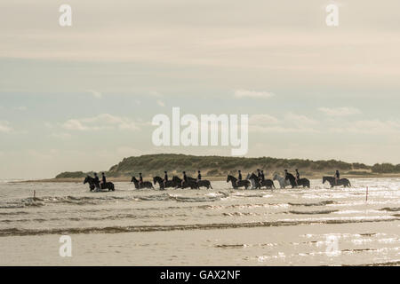 Holkham beach, Norfolk, Royaume-Uni. 6 juillet, 2016. La Household Cavalry régiment monté a temporairement déplacée de 150 chevaux et 150 hommes à Bodney Camp à Thetford, Norfolk, qui sera leur foyer temporaire de 2 ½ semaines pendant qu'ils conduisent leur camp d'entraînement régimentaire. L'un des points forts est l'occasion de canter le long de Holkham Beach et batifoler dans les vagues. Credit : Grands Gilbert/Alamy Live News Banque D'Images