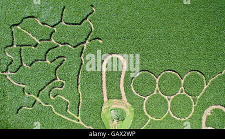 Gifhorn, Allemagne. 6 juillet, 2016. Les anneaux olympiques (r) peut être vu (vue aérienne prise avec un bourdon) dans un champ de maïs dans les exploitations agricoles près de Muden dans la région de Gifhorn, Allemagne, 6 juillet 2016. Le Labyrinthe de maïs par agriculteur Hinnerk Bode-Kirchoff est beaucoup influencé par Olympia cette année : l'une des deux labyrinthes dans les domaines montre les anneaux olympiques, qui ont été creusées dans le maïs avec une tondeuse. Photo : Julian Stratenschulte/dpa/Alamy Live News Banque D'Images