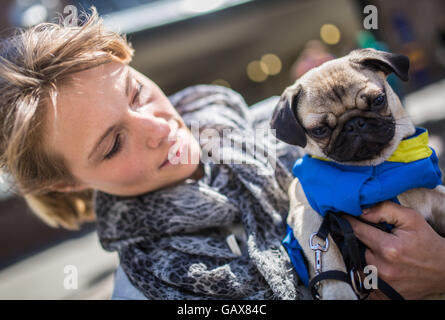 Berlin, Allemagne. Le 06 juillet, 2016. Carolin tient son Arnold pug en face de la Mission de fer au zoo de Berlin, Allemagne, 06 juillet 2016. Arnold va porter l'uniforme bleu de la mission de fer sur demande. La plupart du temps, cependant, il n'est qu'un pug - un jeune chien avec oreilles et de grands yeux bruns. Photo : SOPHIA KEMBOWSKI/dpa/Alamy Live News Banque D'Images