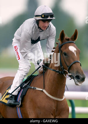 Les courses de chevaux - Southwell Racecourse Banque D'Images