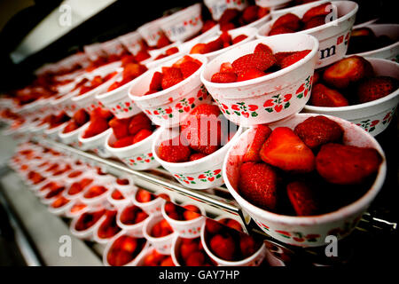 Tennis - tournoi de Wimbledon 2008 - Jour trois - Le All England Club Banque D'Images