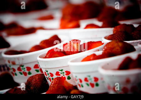 Tennis - Championnat de Wimbledon 2008 - troisième jour - le All England Club. Fraises exposées avant la journée de jeu Banque D'Images