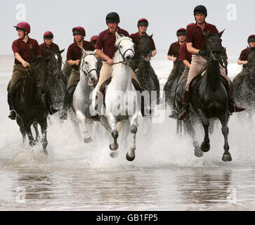 PHOTO AUTONOME. Membres de la cavalerie de la maison, le régiment des gardes de vie, galop à cheval dans le surf le long de Holkham Beach, Holkham, Norfolk. Banque D'Images