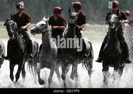 Membres de la cavalerie de la maison, le régiment des gardes de vie, galop à cheval dans le surf le long de Holkham Beach, Holkham, Norfolk. Banque D'Images