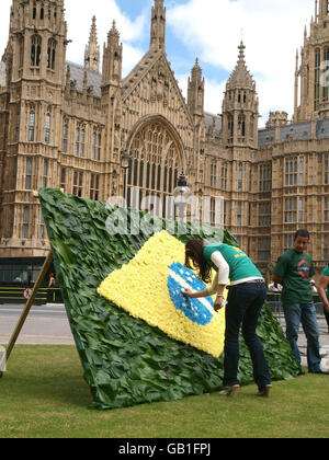 Vivian Figueiredo, cousine de Jean Charles de Menezes, place une fleur dans un drapeau de 3mx3m fait de 1,096 fleurs près des chambres du Parlement, marquant trois ans depuis qu'il a été abattu par erreur par la police à la suite des attentats du 7 juillet à Londres. Banque D'Images