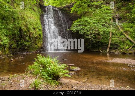 Foss chute Cascade yorkshire uk Banque D'Images