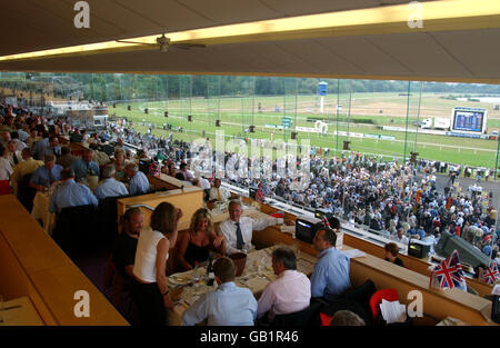 Les courses de chevaux - Kempton Park Racecourse Banque D'Images