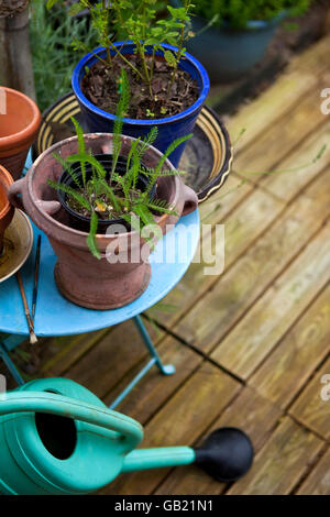 Plantes en pot et petit jardin sur une terrasse en France Banque D'Images