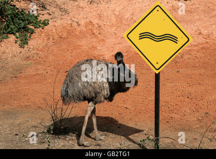 Le Zoo de Londres à l'exposition de l'Outback Banque D'Images