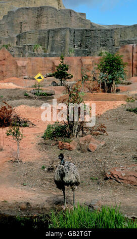 Le Zoo de Londres à l'exposition de l'Outback Banque D'Images