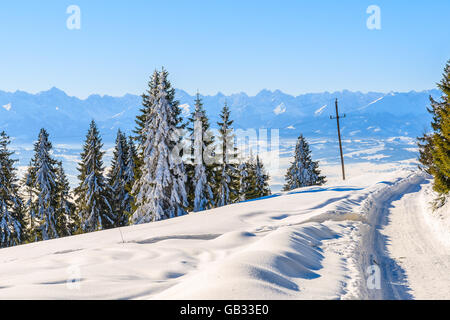 Sentier d'hiver dans les montagnes Gorce et panorama des Tatras en arrière-plan, Pologne Banque D'Images