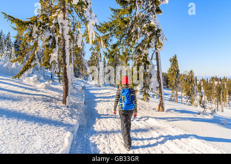 Jeune femme tourisme sentier d'hiver dans les montagnes Gorce, Pologne Banque D'Images