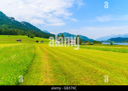 Champ vert en été paysage de montagnes des Alpes, lac Weissensee, Autriche Banque D'Images