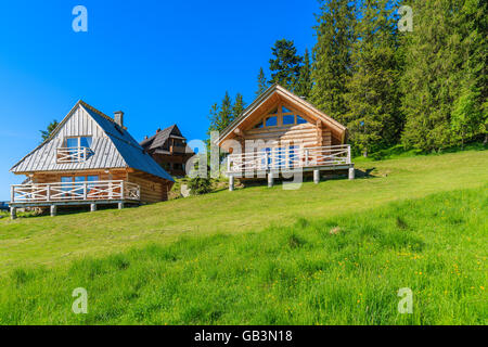 Les maisons en bois sur pré vert en été, Tatras, Pologne Banque D'Images