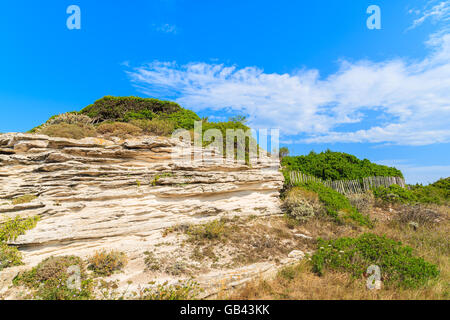 Rock en campagne de Corse près de Bonifacio ville, France Banque D'Images