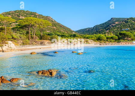 Plage de belle plage de Palombaggia avec de l'eau de mer d'Azur, Corse, France Banque D'Images