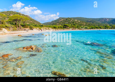 D'azur à une mer cristalline de l'eau sur la plage de Palombaggia Corse, France Banque D'Images