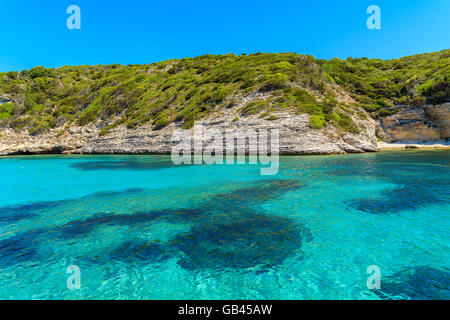 Clair comme de l'eau de mer en baie isolée près de la ville de Bonifacio, Corse, France Banque D'Images