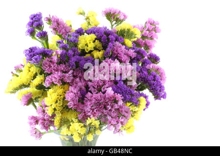 Rose, violet, jaune Statice bouquet de fleurs sur fond blanc Banque D'Images