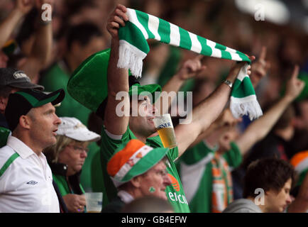 Un fan de la République d'Irlande lors du match du groupe de qualification de la coupe du monde 8 au Stadion am Bruchweg, à Mayence, en Allemagne. Banque D'Images