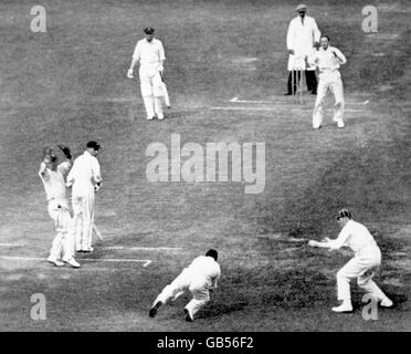 Cricket - les cendres - deuxième épreuve - Angleterre / Australie - troisième jour.Wally Hammond (Bottom, c), en Angleterre, plonge pour tenter de capturer Alan Kipax (second l), en Australie, au large du bowling de Walter Robins (top r) Banque D'Images