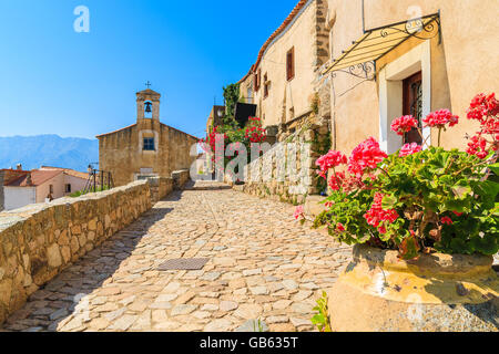 Église typique dans les petits village corse de Sant' Antonino, Corse, France Banque D'Images