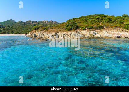 Clair comme de l'eau de mer en baie isolée près de la ville de Bonifacio, Corse, France Banque D'Images