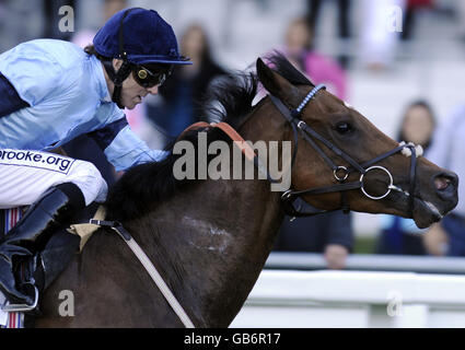 Les courses de chevaux - Willmott Dixon Group Day - Ascot Racecourse Banque D'Images