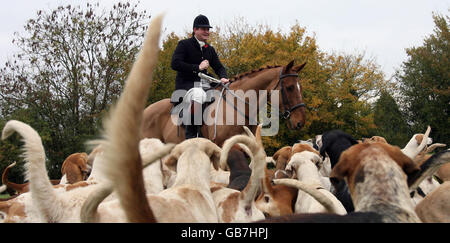 Huntsman et le Maître de Fox Hounds Luke Neale à la chasse au Puckeridge à Brent Pelham, Hertfordshire, le premier week-end de la nouvelle saison de chasse. Banque D'Images