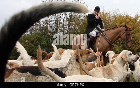 Huntsman et le Maître de Fox Hounds Luke Neale à la chasse au Puckeridge à Brent Pelham, Hertfordshire, le premier week-end de la nouvelle saison de chasse. Banque D'Images