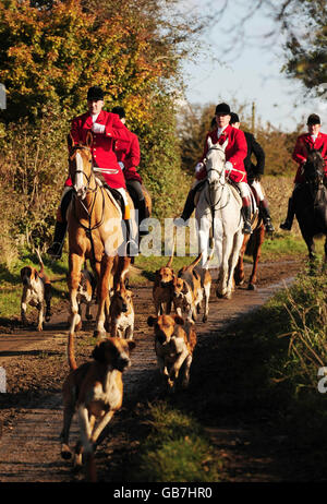 Chasses et humes de la chasse au sud de York et d'Ainsty à Crayke, Easingwold, dans le North Yorkshire, le premier week-end de la nouvelle saison de chasse. Banque D'Images