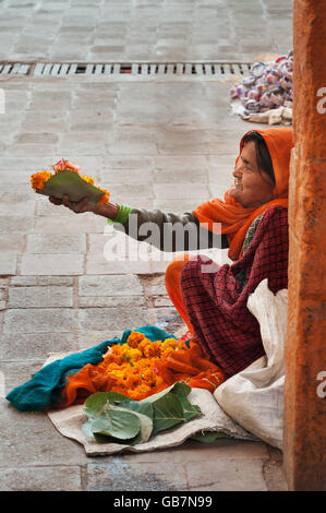 Ancien non identifié pauvre femme vend des guirlandes de fleurs au temple. Banque D'Images