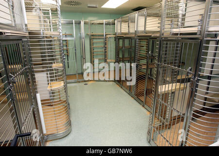 Une salle de primates dans le nouveau bâtiment des sciences biomédicales de l'Université d'Oxford. Banque D'Images