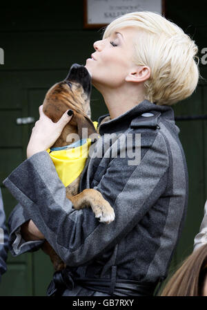 Sarah Harding of Girls Aloud lance l'initiative d'éducation Dogs Trust, en partenariat avec Nintendo, au Dog's Trust à Uxbridge, dans l'ouest de Londres. Banque D'Images