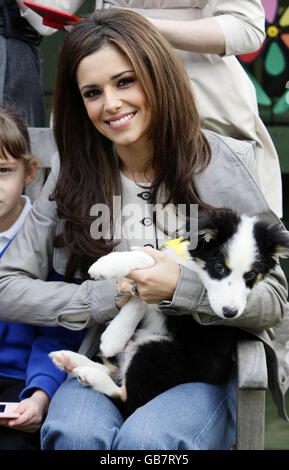 Cheryl Cole de Girls Aloud lance l'initiative d'éducation de Dogs Trust, en partenariat avec Nintendo, au Dog's Trust à Uxbridge, dans l'ouest de Londres. Banque D'Images