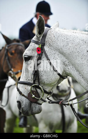 Le cheval du Huntmaster Ian Farquhar de la chasse de Beaufort à Gloucestershire le premier week-end de la nouvelle saison de chasse. Banque D'Images